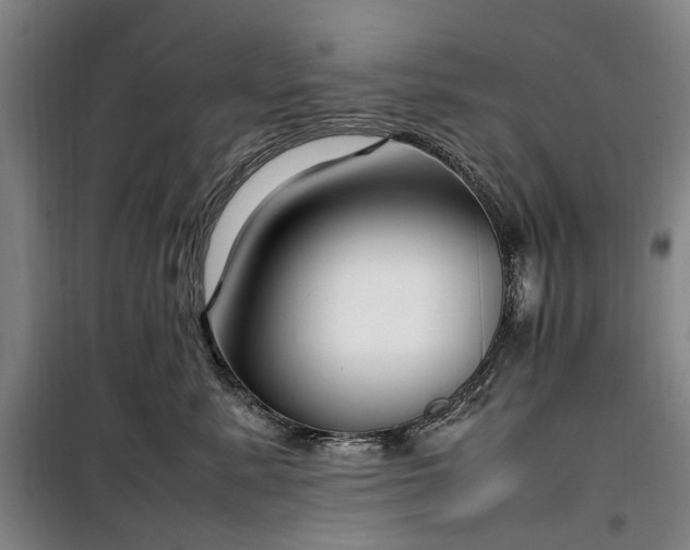 X0000100340619200806121152