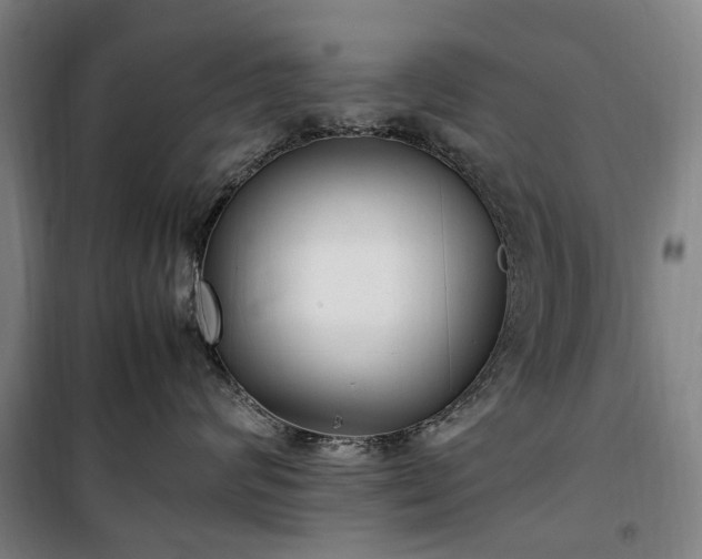 X0000100340624200806121152