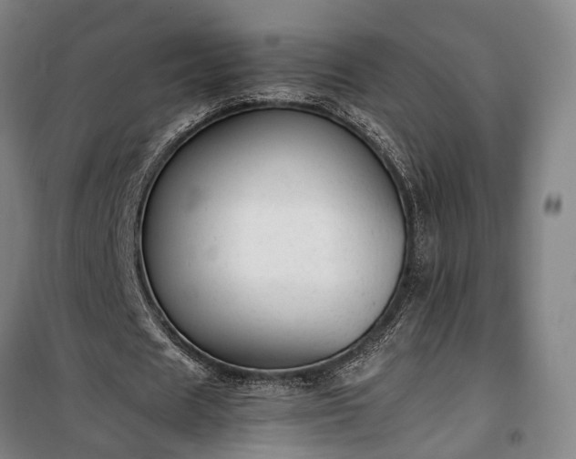 X0000100340625200806121151