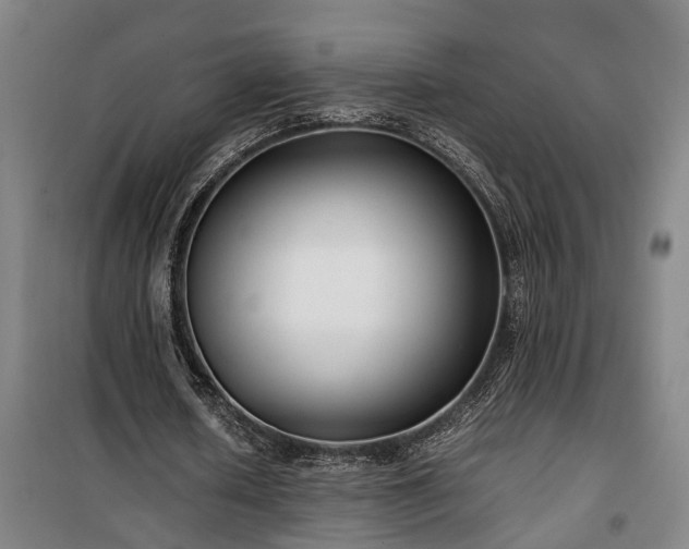 X0000100340626200806121151