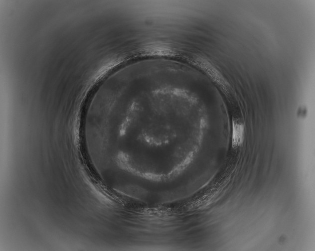 X0000100340627200806121151