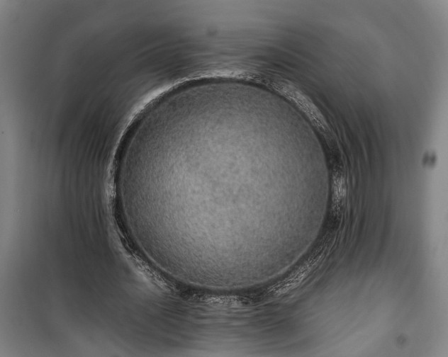 X0000100340628200806121151