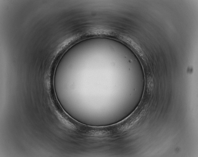 X0000100340629200806121151