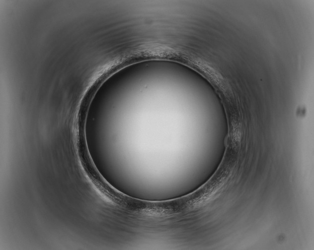 X0000100340630200806121151