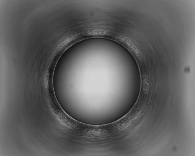 X0000100340631200806121151