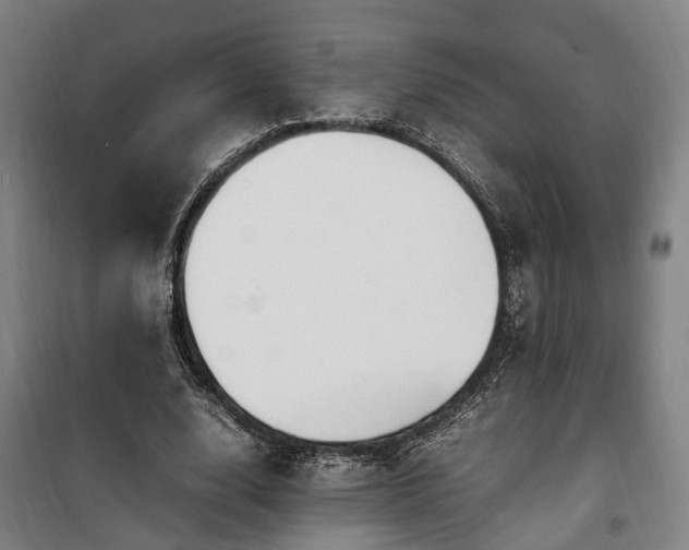 X0000100340632200806121151