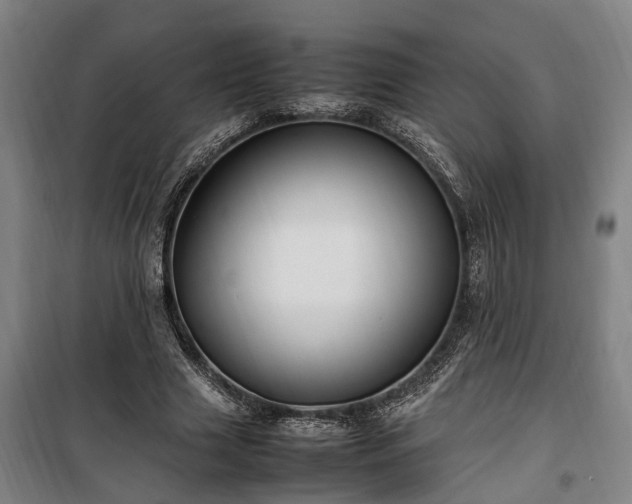 X0000100340633200806121151