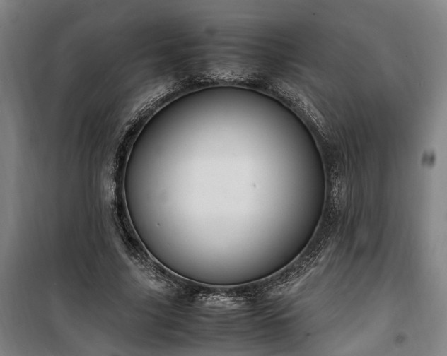 X0000100340635200806121151