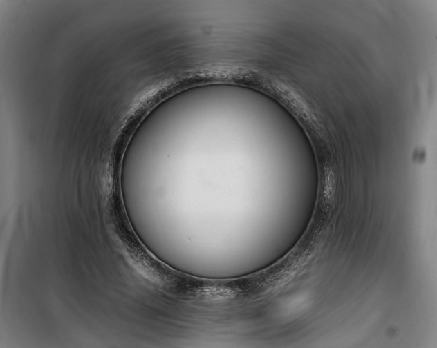 X0000100340636200806121151