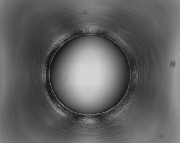 X0000100340638200806121151