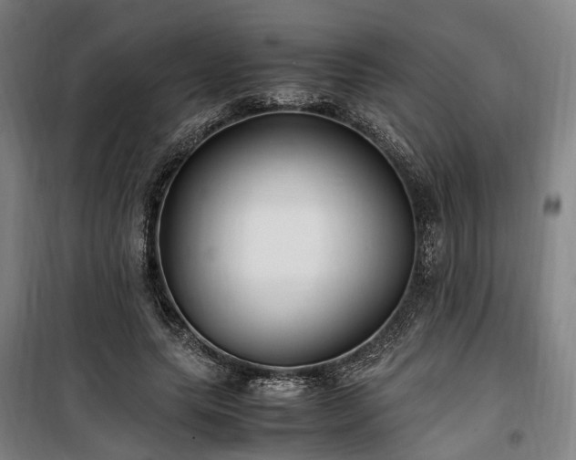 X0000100340639200806121151