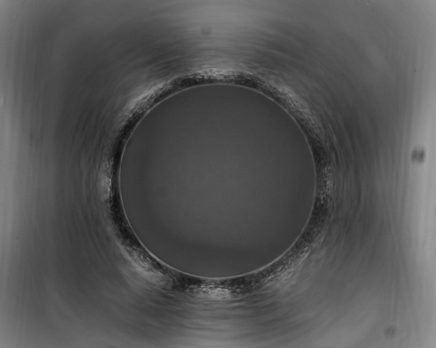 X0000100340640200806121151