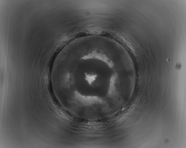 X0000100340641200806121151