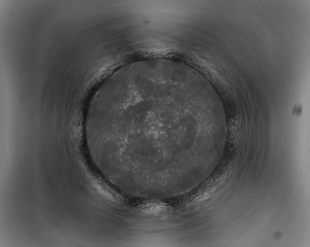 X0000100340642200806121151