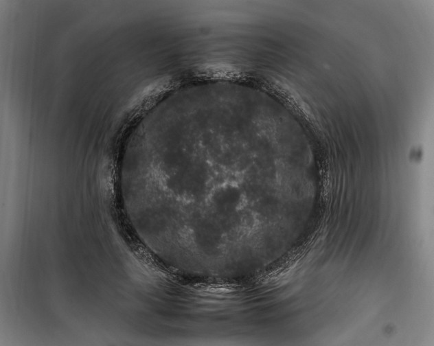 X0000100340643200806121151