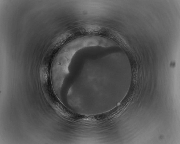 X0000100340644200806121151