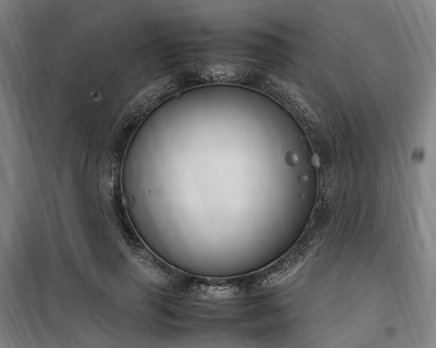 X0000100340645200806121151