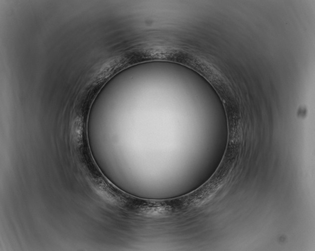 X0000100340646200806121151