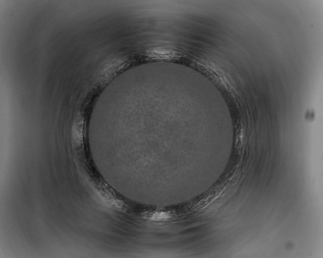 X0000100340647200806121151