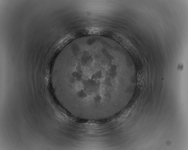 X0000100340648200806121151