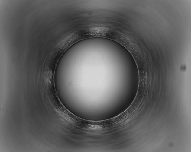 X0000100340649200806121151