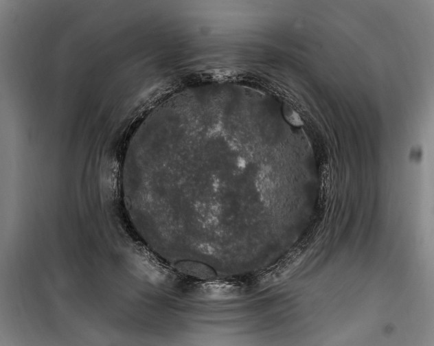 X0000100340650200806121151