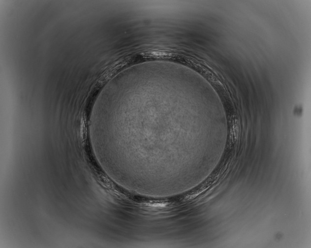 X0000100340651200806121151