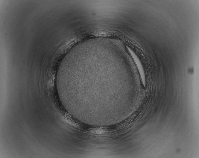 X0000100340652200806121151