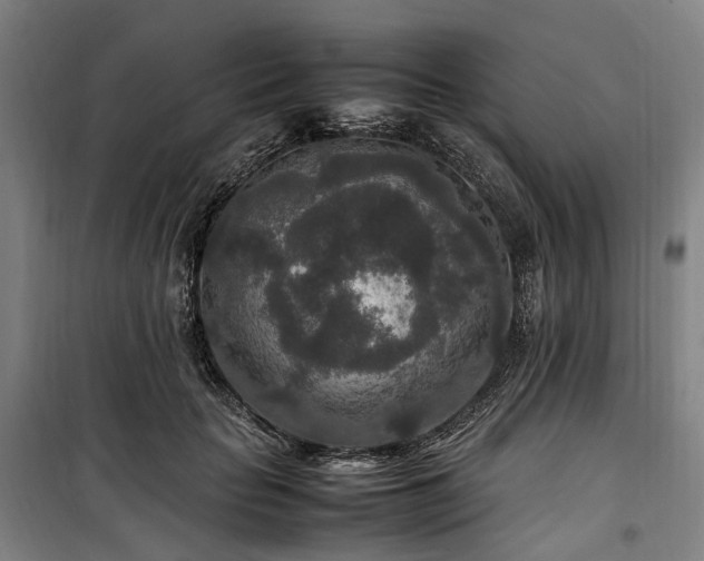 X0000100340653200806121151