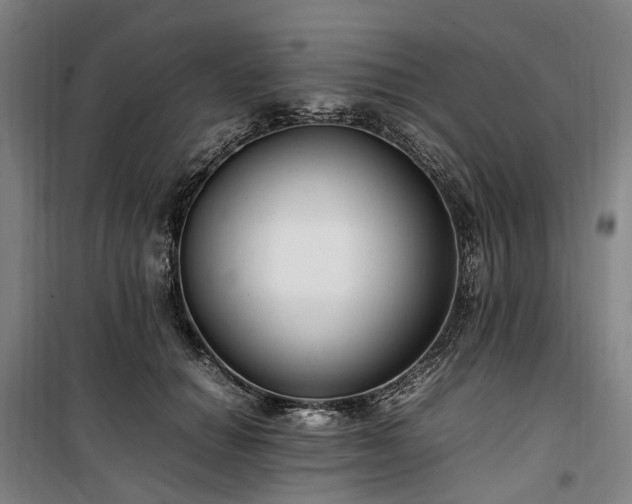 X0000100340654200806121151