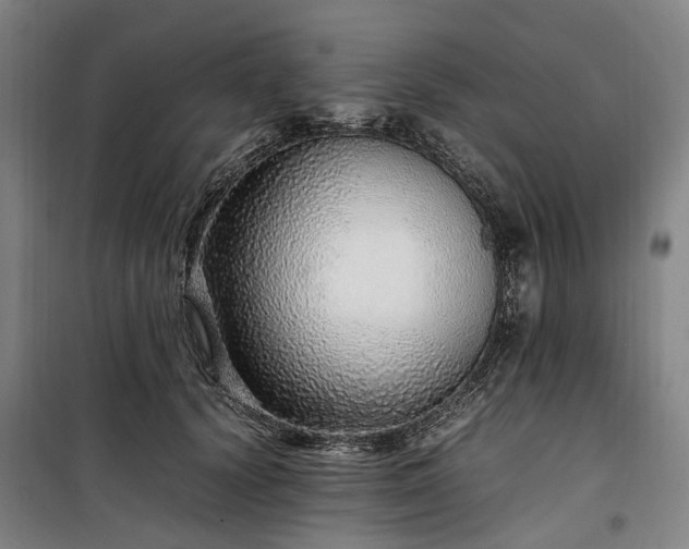 X0000100340656200806121151