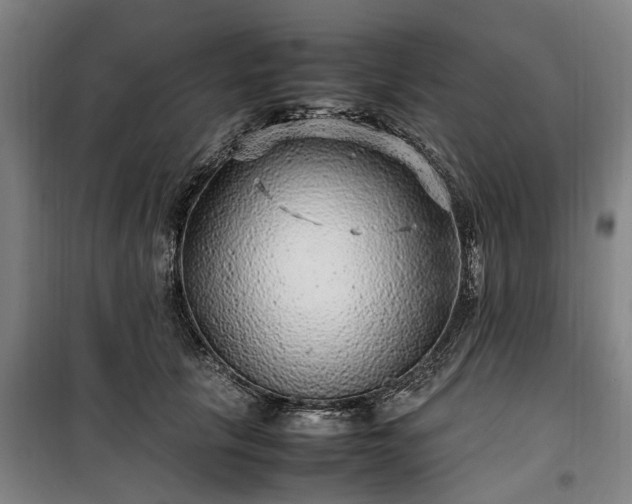 X0000100340657200806121151