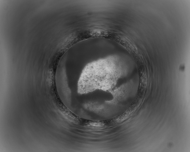 X0000100340659200806121151