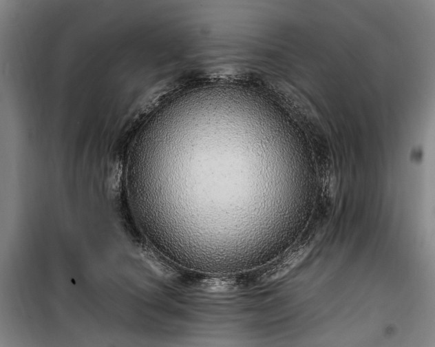 X0000100340660200806121151