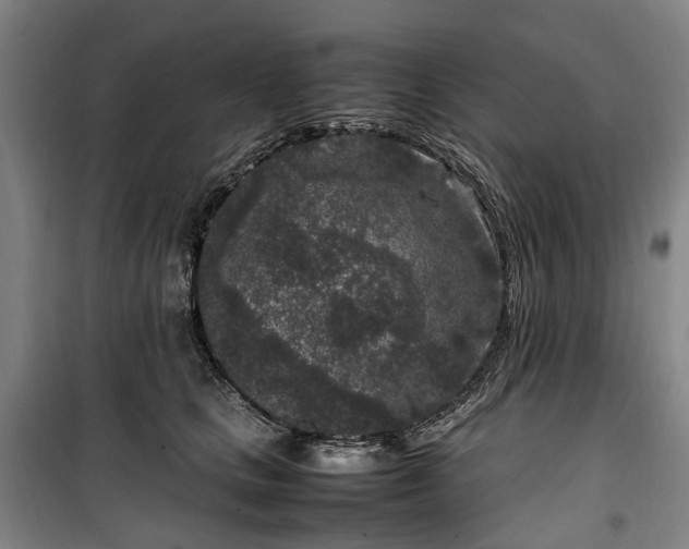 X0000100340661200806121152