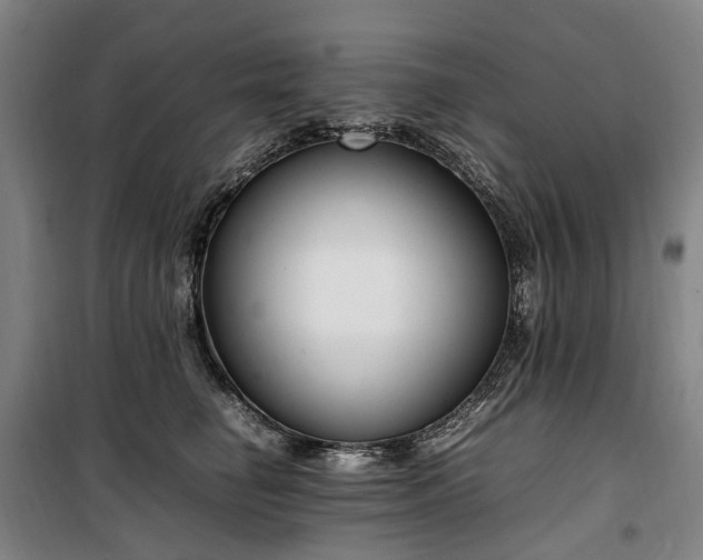 X0000100340662200806121152