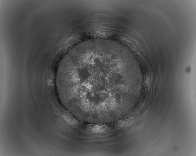 X0000100340663200806121152