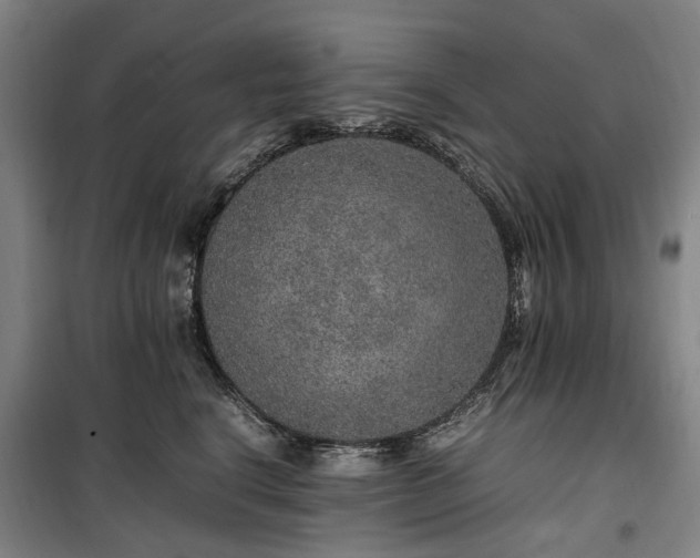 X0000100340664200806121152