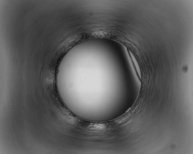 X0000100340665200806121152