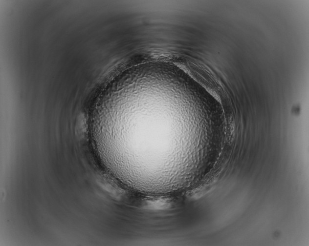 X0000100340667200806121152