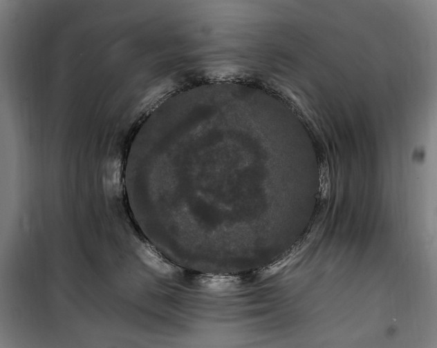 X0000100340670200806121152