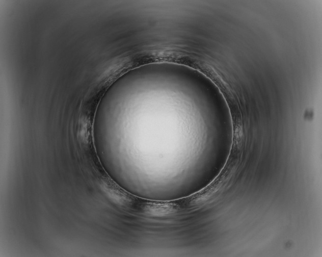 X0000100340671200806121152