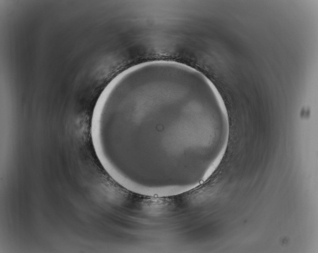 X0000100340672200806121152