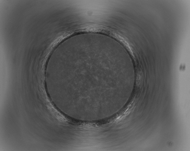 X0000100340673200806121151