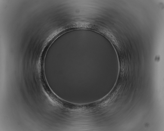 X0000100340674200806121151