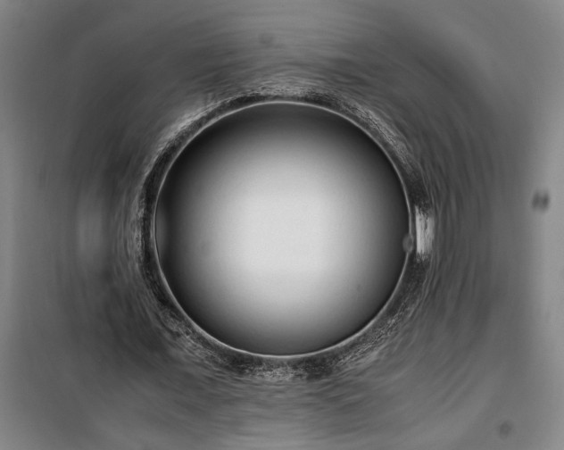 X0000100340675200806121151