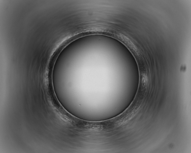 X0000100340676200806121151