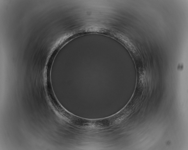 X0000100340678200806121151