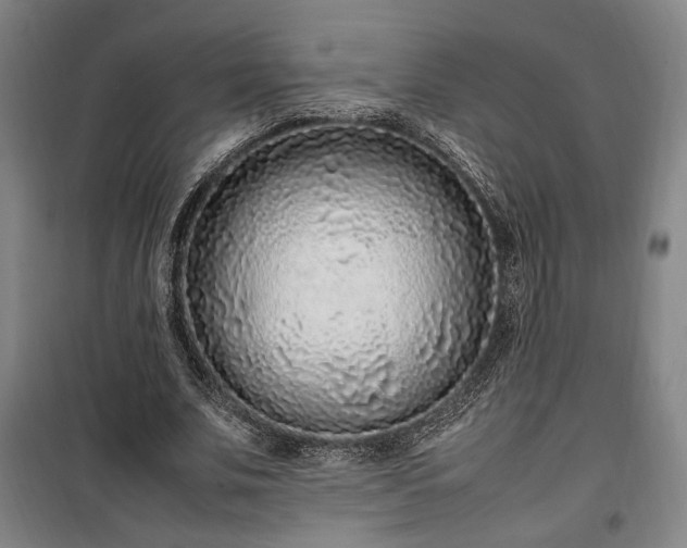 X0000100340679200806121151