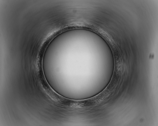 X0000100340680200806121151